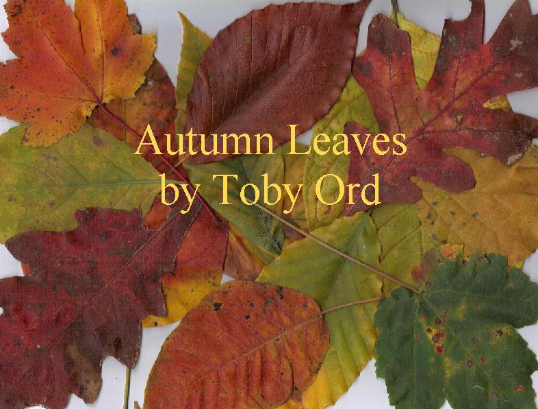 Autumn Leaves